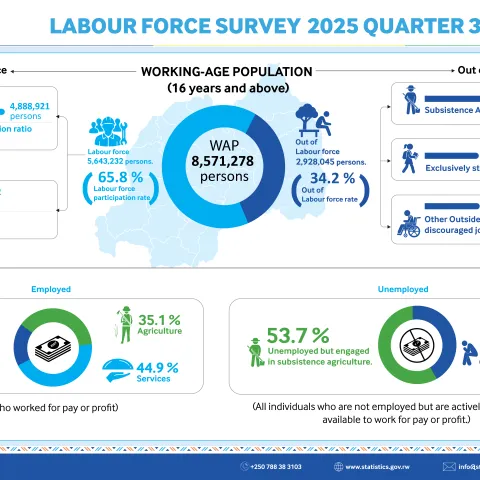 Labour Force Survey - 2025 (Q3)